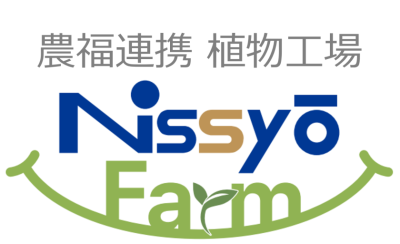 鈴鹿市植物工場 Nissyo-Farm 無農薬！周年栽培！よつぼし、リーフレタス |